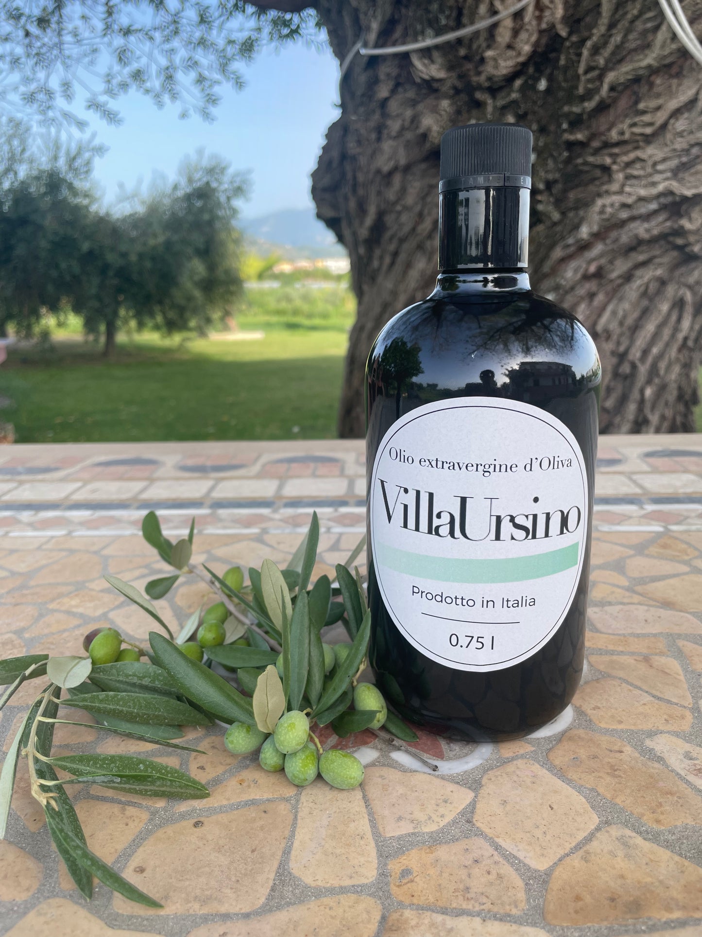 Olio extravergine d'oliva - 750 ml